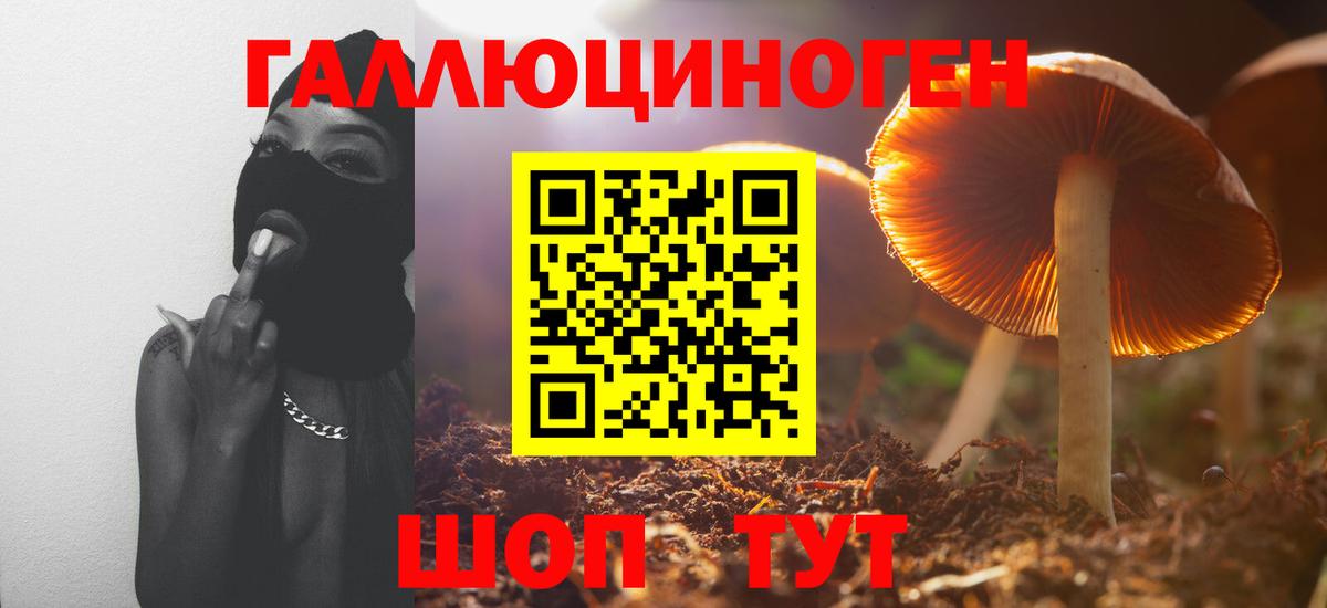 как найти наркотики  Вход с VPN  Черняховск  Галлюциногенные грибы мухоморы  Псилоцибиновые грибы ЛСД 